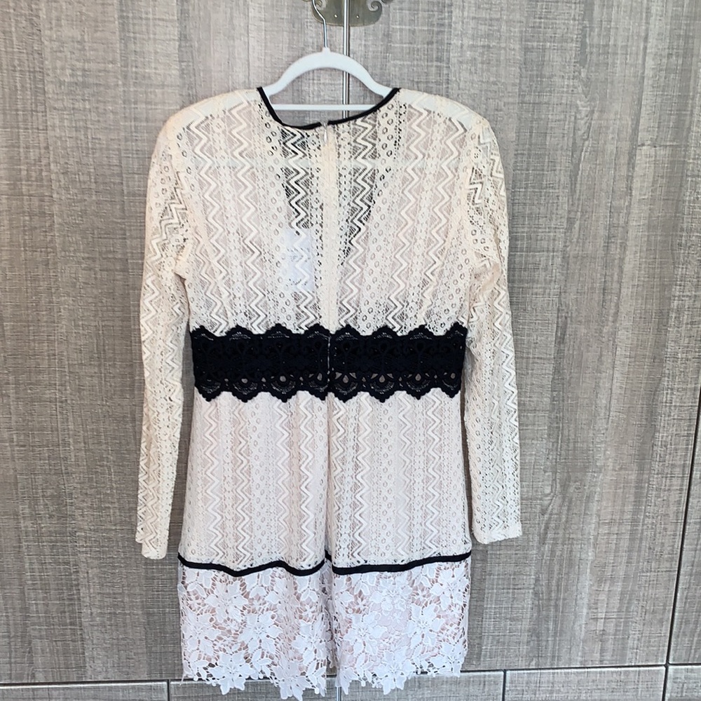 Bardot Bella Lace Dress in Limestone - Picture 4 of 12